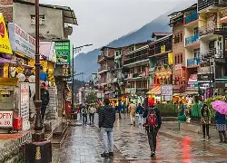 Local Market